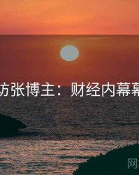 吃瓜专访张博主：财经内幕幕后故事