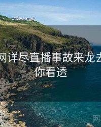 黑料官网详尽直播事故来龙去脉，带你看透