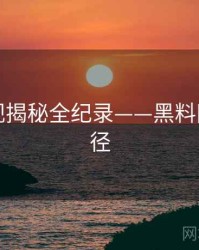 多维影视揭秘全纪录——黑料网传播路径