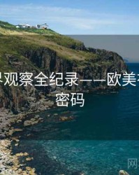 全面业界观察全纪录——欧美在线流量密码