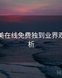 亚洲欧美在线免费独到业界观察深解析