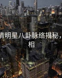 91网高清明星八卦脉络揭秘，揭秘真相